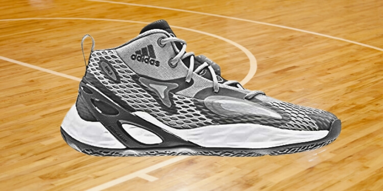 Gym footwear for basketball players